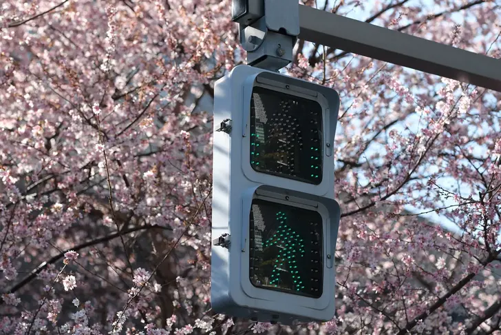 观点：股市AI泡沫已至，我为什么转头押注比特币？